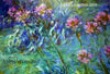 Monet (detalle) - Andrés Amorós