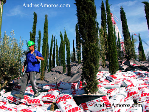 La boda Real por Andrés Amorós