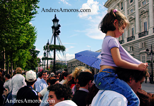 La boda Real por Andrés Amorós