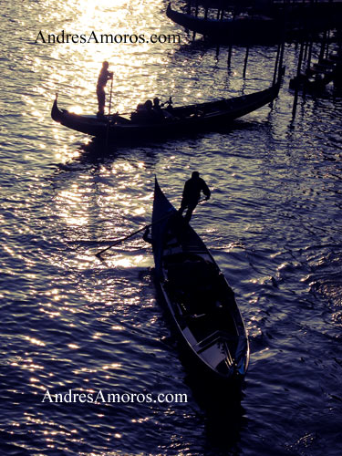 Venecia